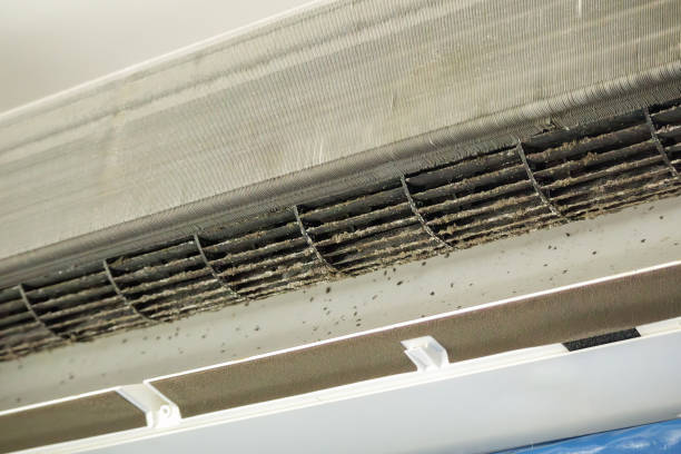 Best Best Air Duct Cleaning Company  in Bensville, MD